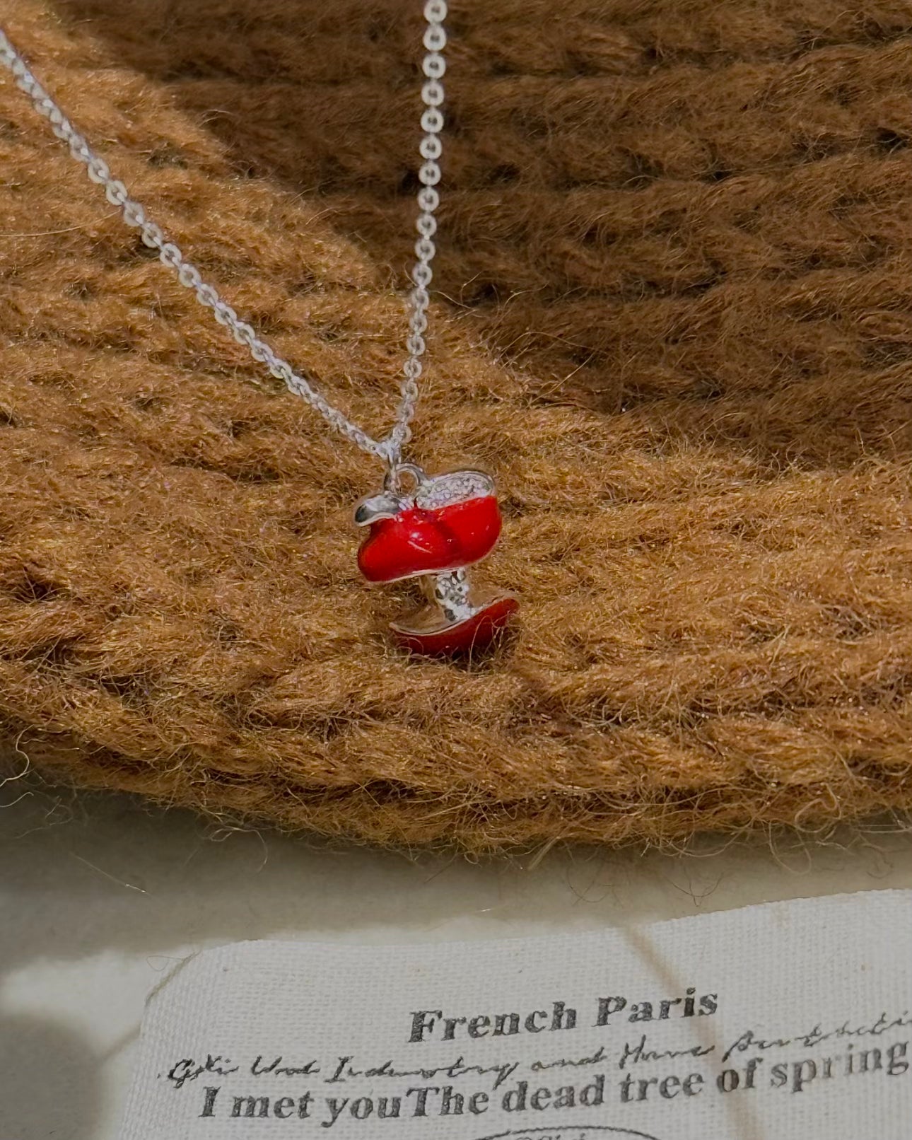 COLLIER DE NOYAUX DE POMME