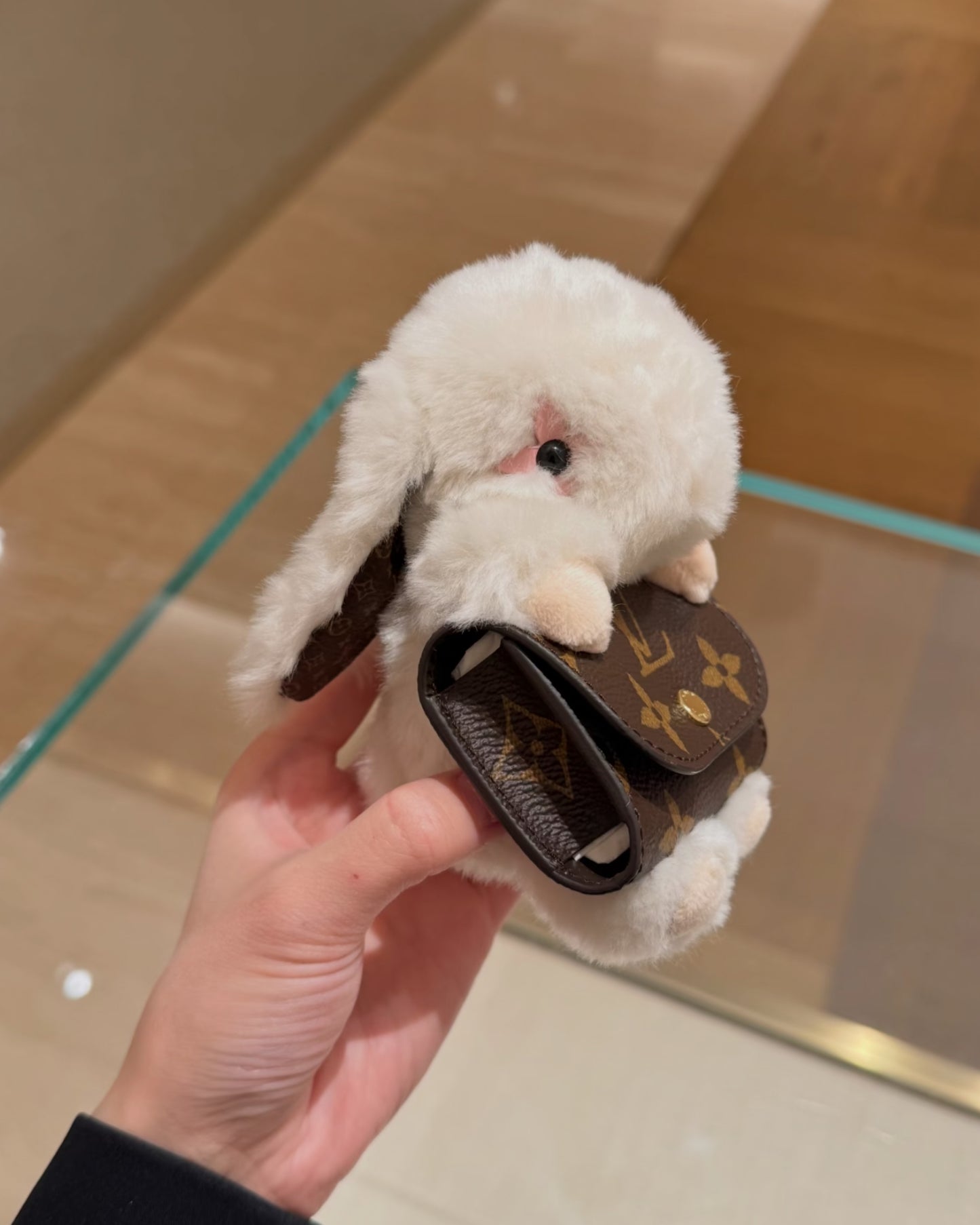 LU  BAG DECORATIONS EARPHONE CASE