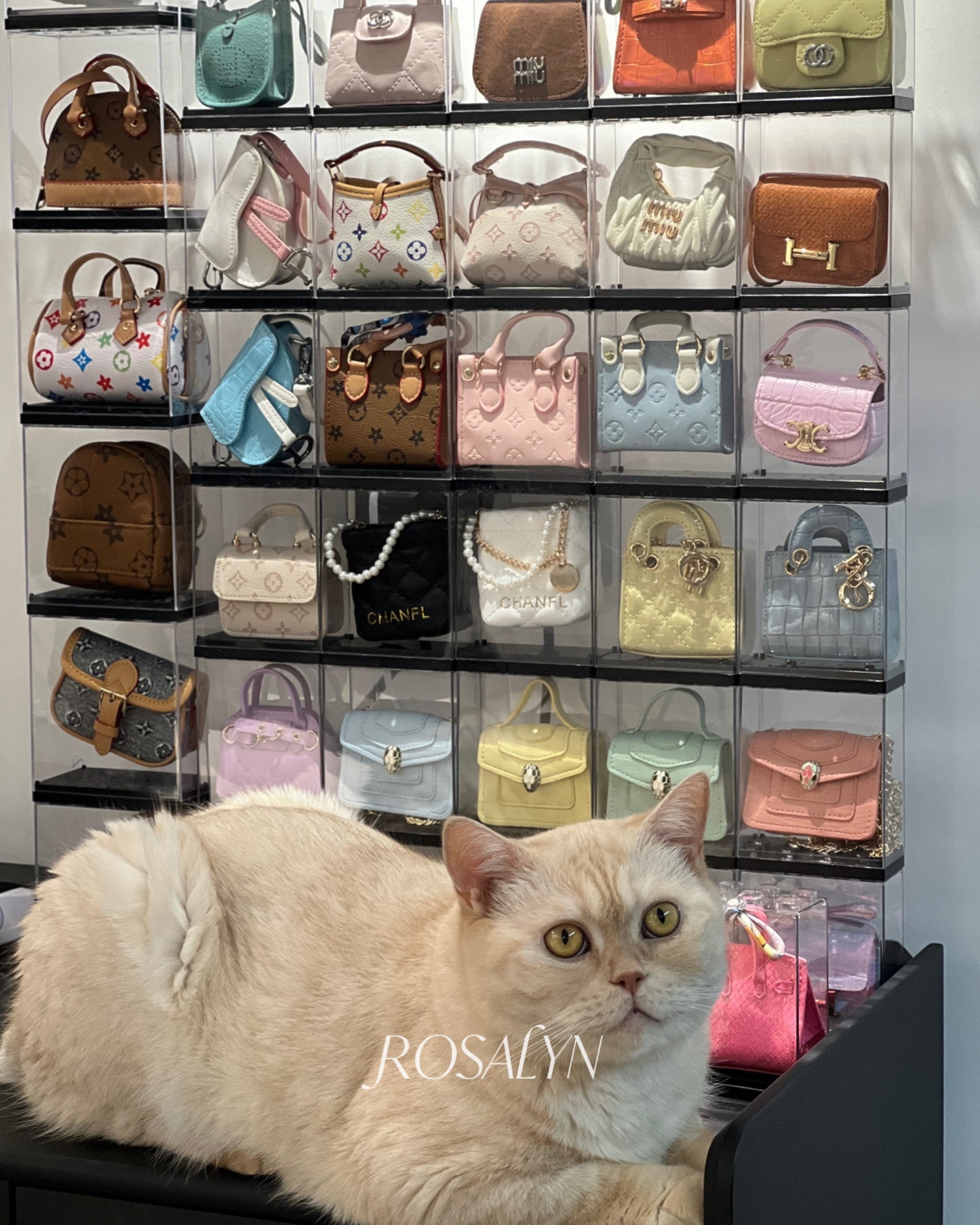 MINI BAG MATCHING GAME