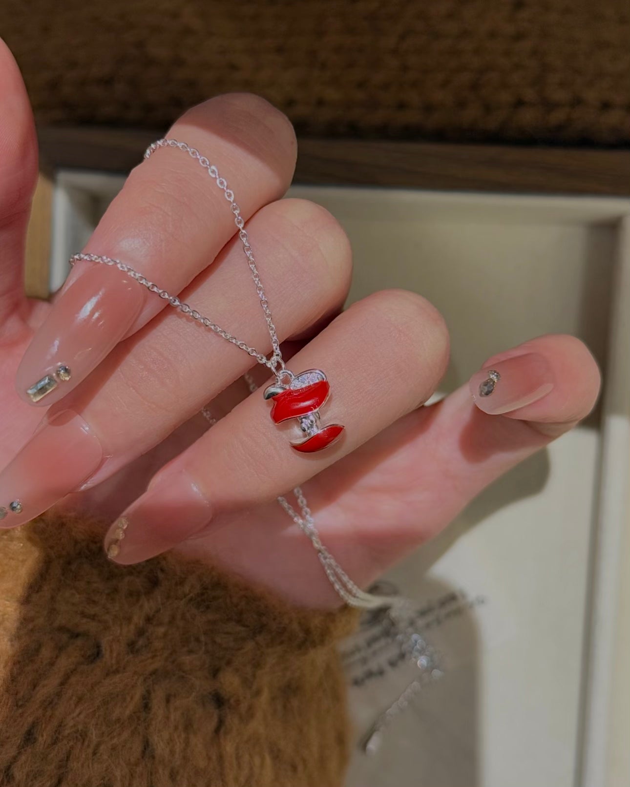 COLLIER DE NOYAUX DE POMME