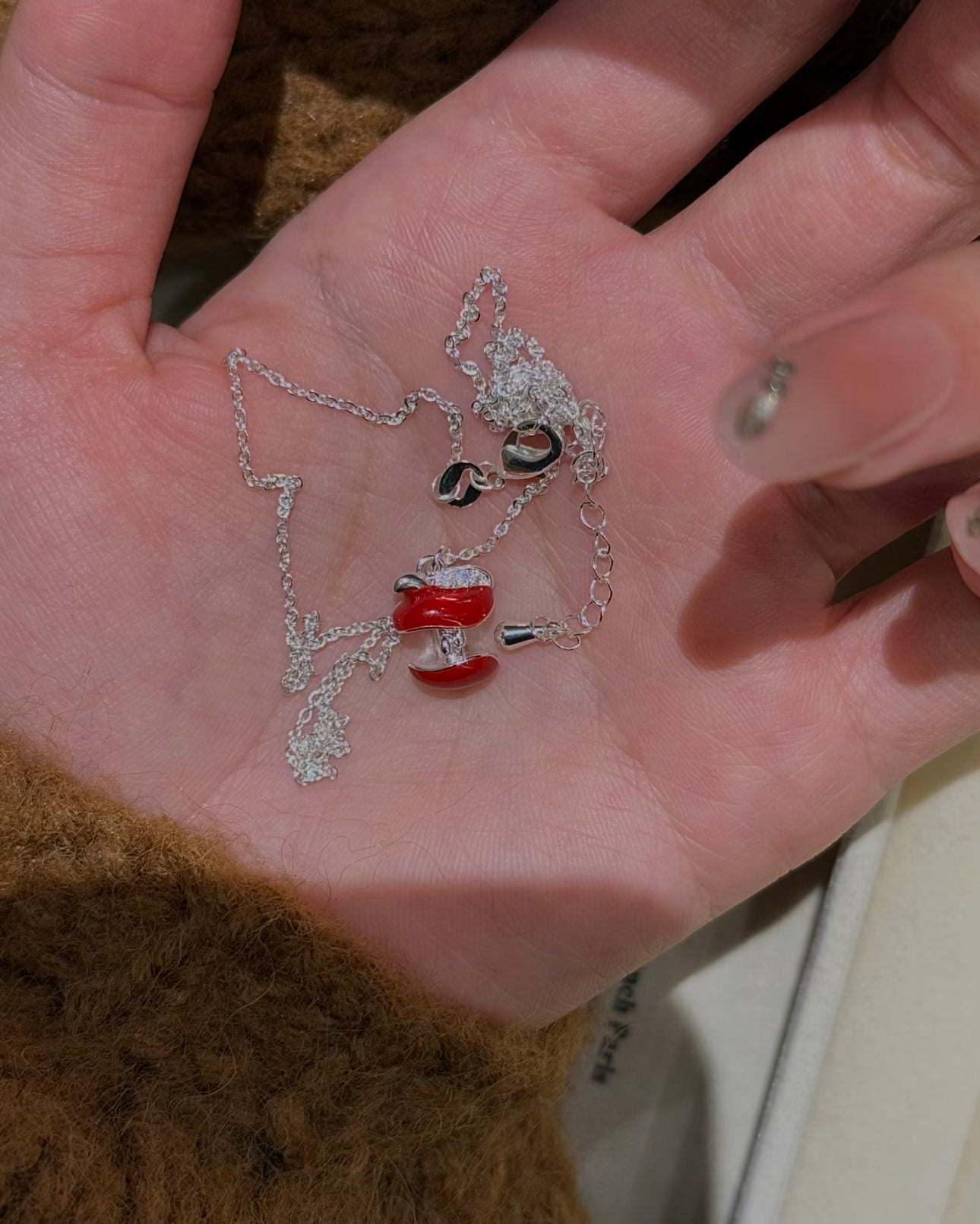 COLLIER DE NOYAUX DE POMME