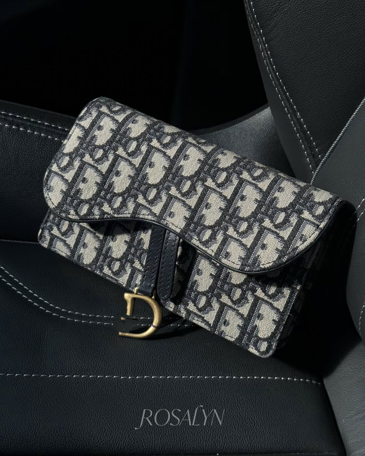 CD WAIST BAG