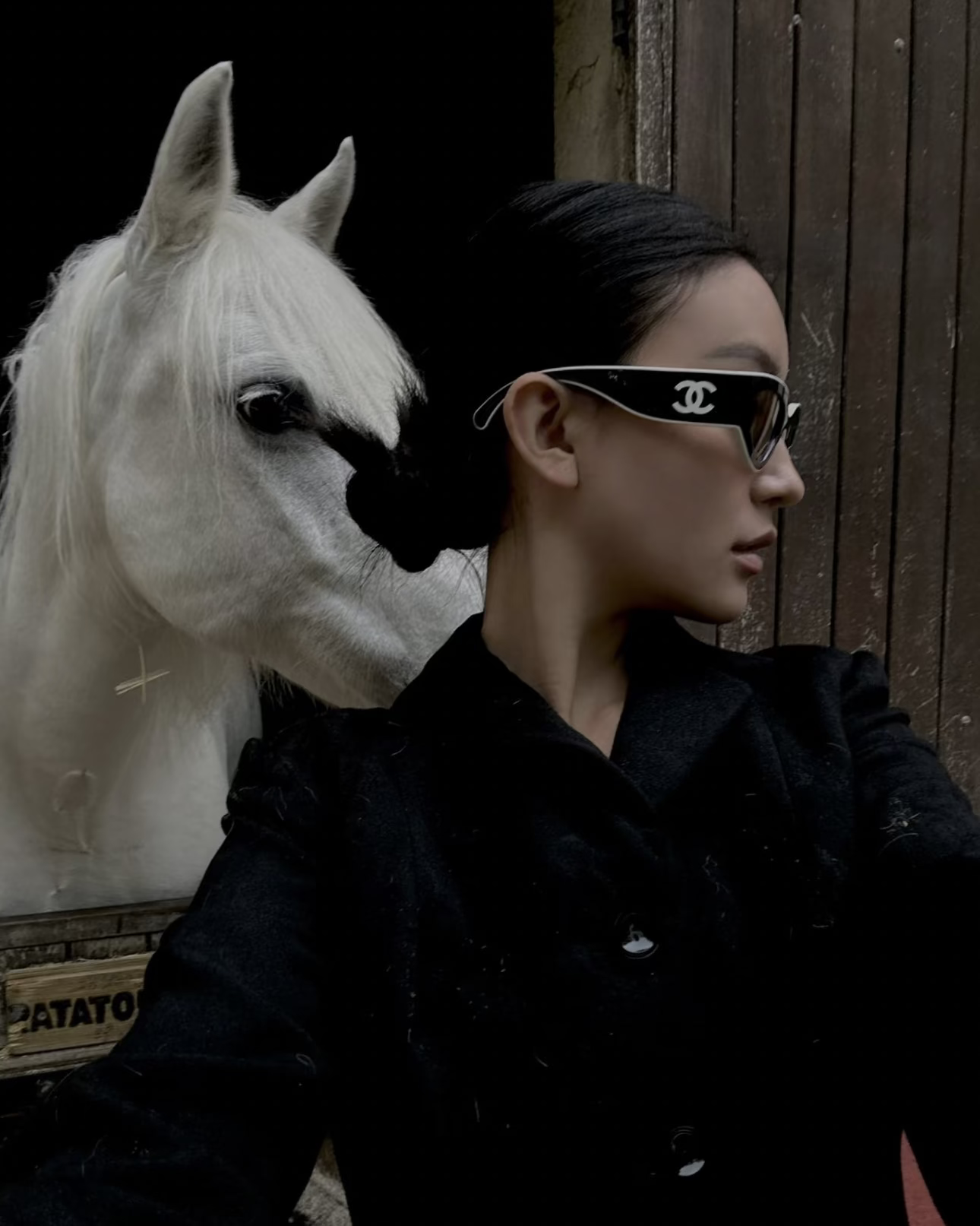 PANDA CAT EYE SUNGLASSES